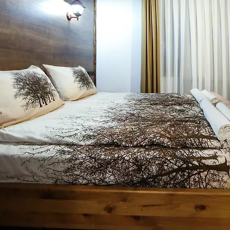 Belmezova House ゲストハウス ブラゴエヴグラト
